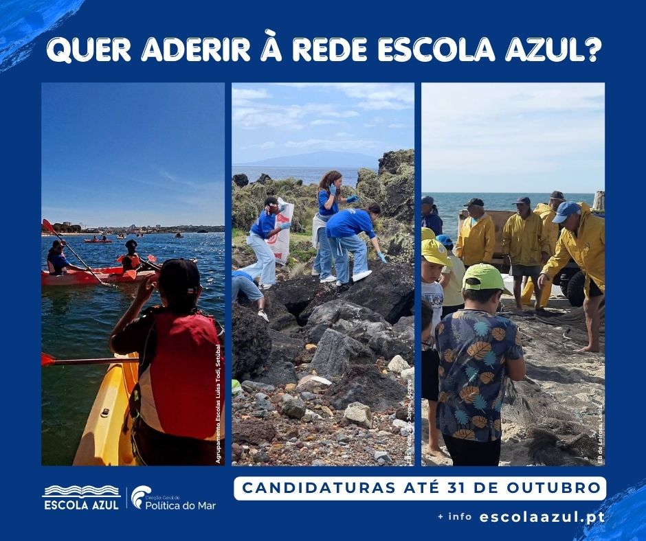 Candidaturas Escola Azul 26/28