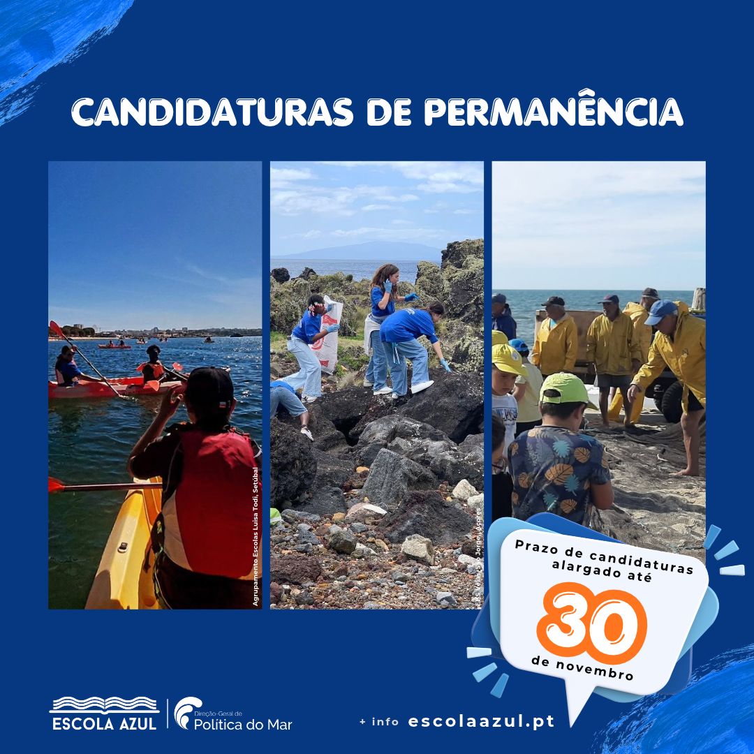 Candidaturas Escola Azul 26/28